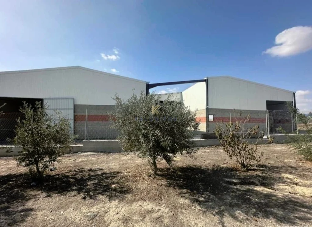 380m² Commercial for Rent in Aradippou, Larnaca District