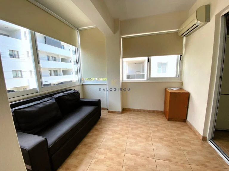 2 Bedroom Apartment for Rent in Larnaca District