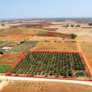 9,384m² Plot for Sale in Avgorou, Famagusta District