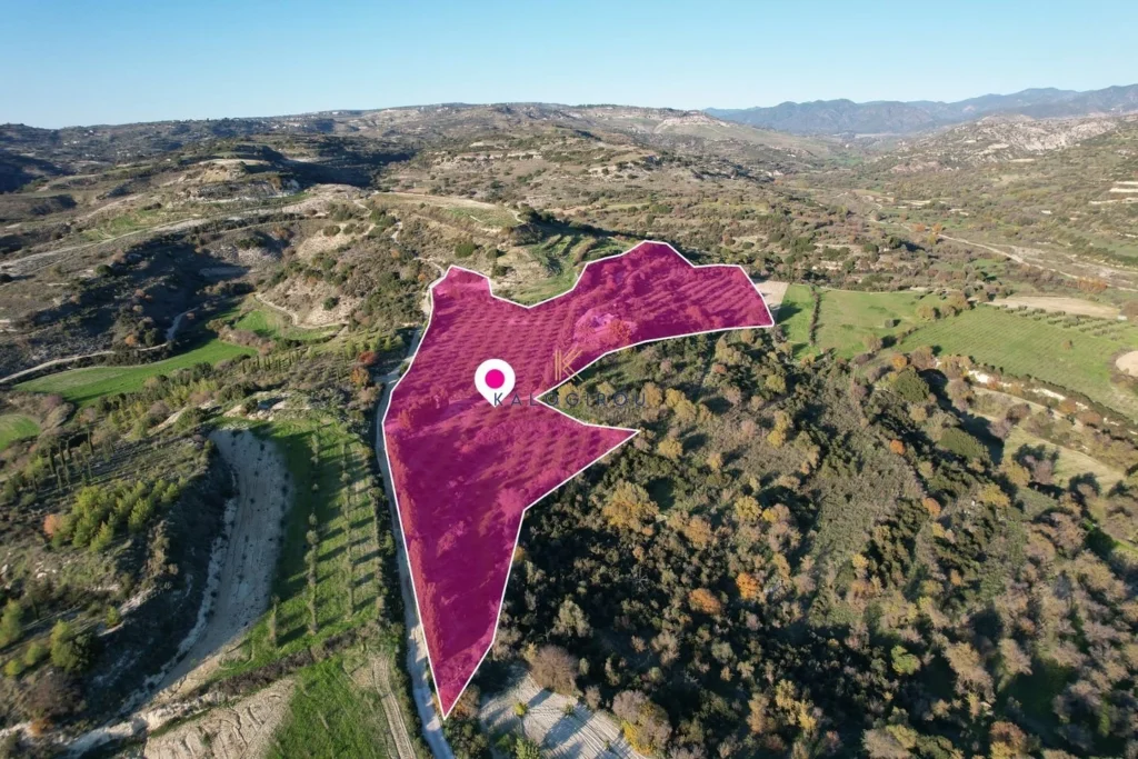 26,273m² Plot for Sale in Choulou, Paphos District