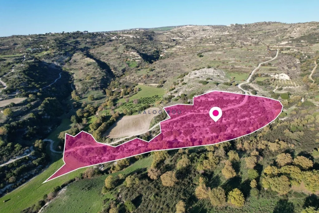 20,068m² Plot for Sale in Psathi, Paphos District