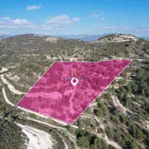 29,430m² Plot for Sale in Laneia, Limassol District