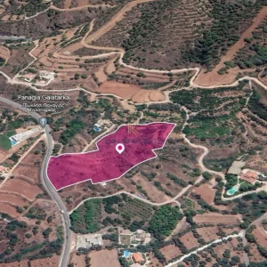 14,391m² Plot for Sale in Pomos, Paphos District