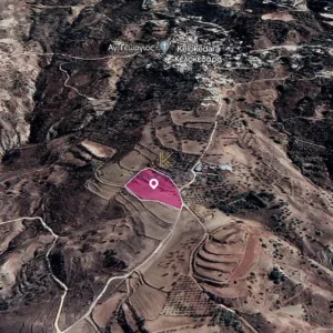 12,041m² Plot for Sale in Kelokedara, Paphos District