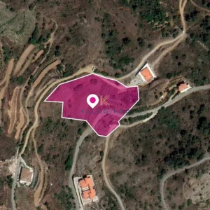 8,696m² Plot for Sale in Farmakas, Nicosia District