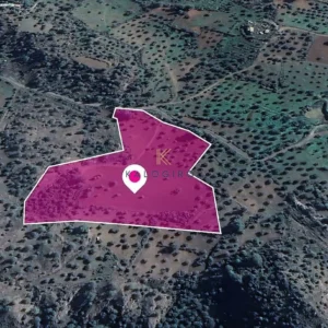 27,425m² Plot for Sale in Lythrodontas, Nicosia District