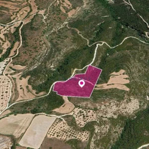 16,054m² Plot for Sale in Kritou Tera, Paphos District