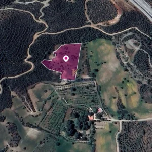 9,031m² Plot for Sale in Kofinou, Larnaca District