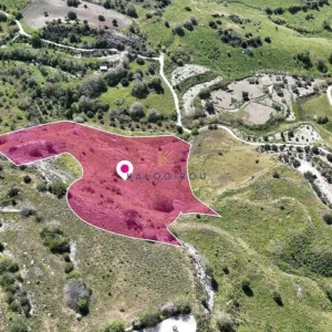 11,028m² Plot for Sale in Mesa Chorio, Paphos District