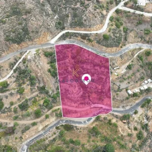 5,187m² Plot for Sale in Agioi Vavatsinias, Larnaca District