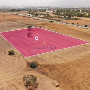 1,325m² Plot for Sale in Mazotos, Larnaca District