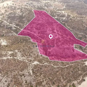 56,800m² Plot for Sale in Skarinou, Larnaca District