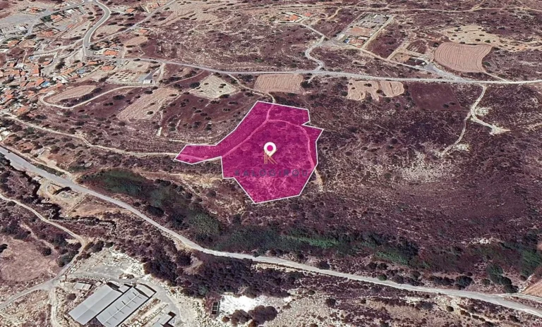 16,273m² Plot for Sale in Tochni, Larnaca District