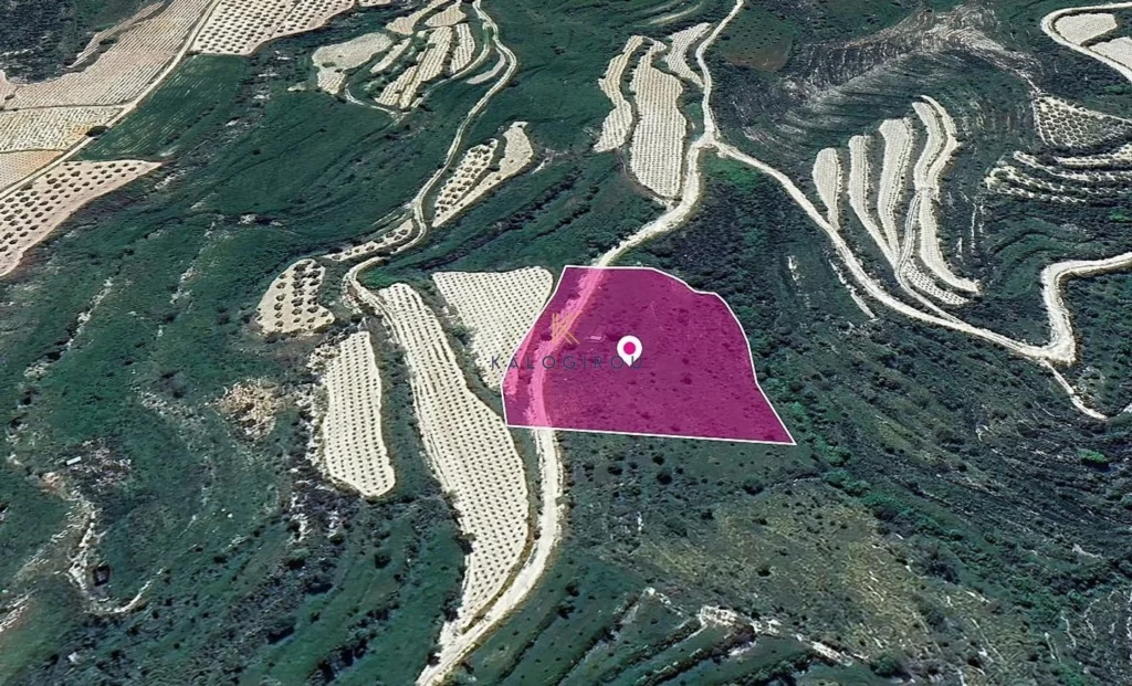 8,027m² Plot for Sale in Koili, Paphos District