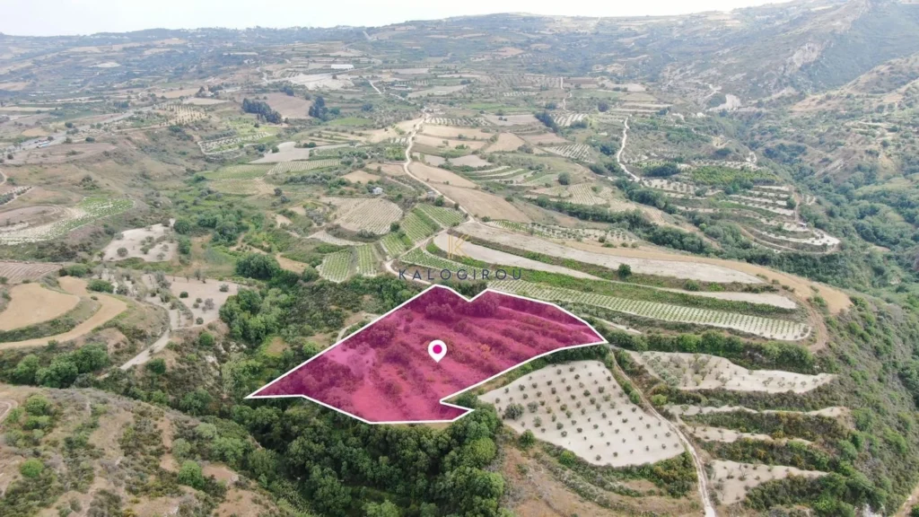 10,034m² Plot for Sale in Theletra, Paphos District