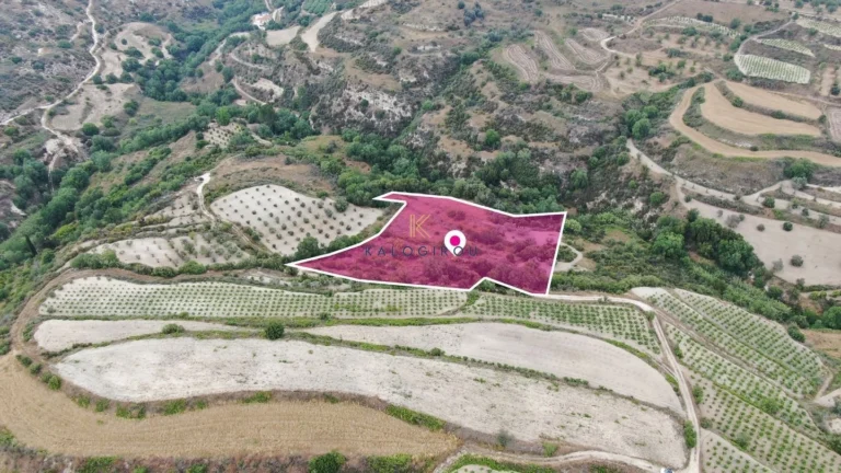 10,034m² Plot for Sale in Theletra, Paphos District