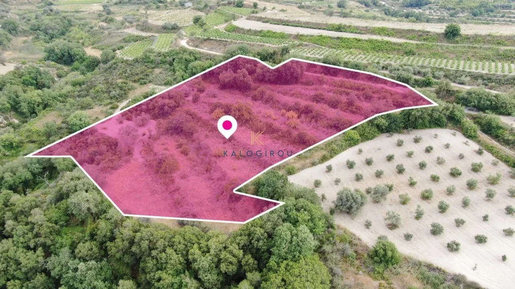 10,034m² Plot for Sale in Theletra, Paphos District