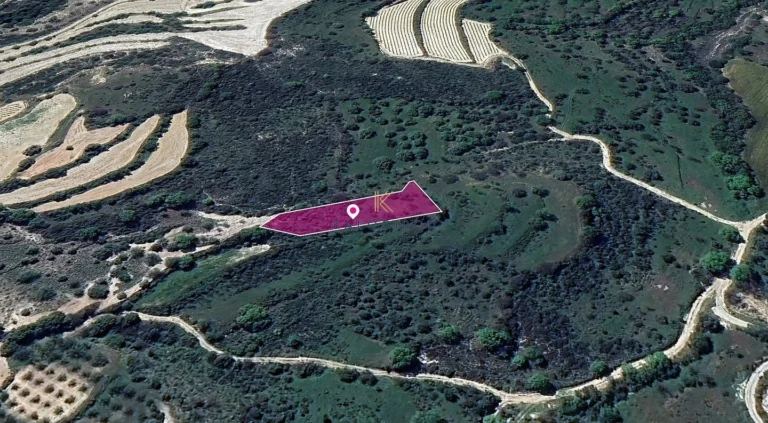 1,003m² Plot for Sale in Lemona, Paphos District