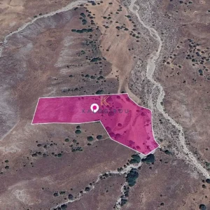 15,051m² Plot for Sale in Kelokedara, Paphos District