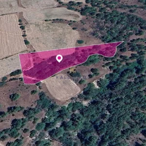 9,700m² Plot for Sale in Mousere, Paphos District