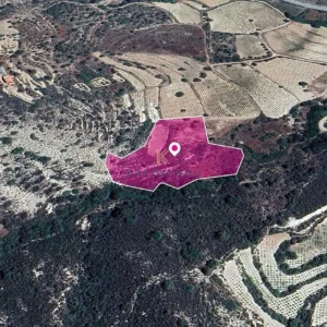 9,365m² Plot for Sale in Agios Mamas, Limassol District