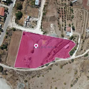 8,300m² Plot for Sale in Choletria, Paphos District