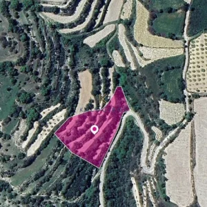 4,785m² Plot for Sale in Koili, Paphos District