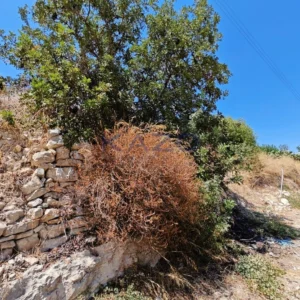 502m² Plot for Sale in Limassol District