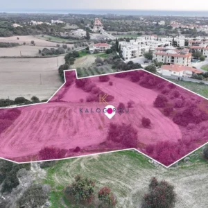 13,044m² Plot for Sale in Mazotos, Larnaca District