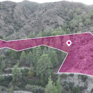 10,034m² Plot for Sale in Dierona, Limassol District