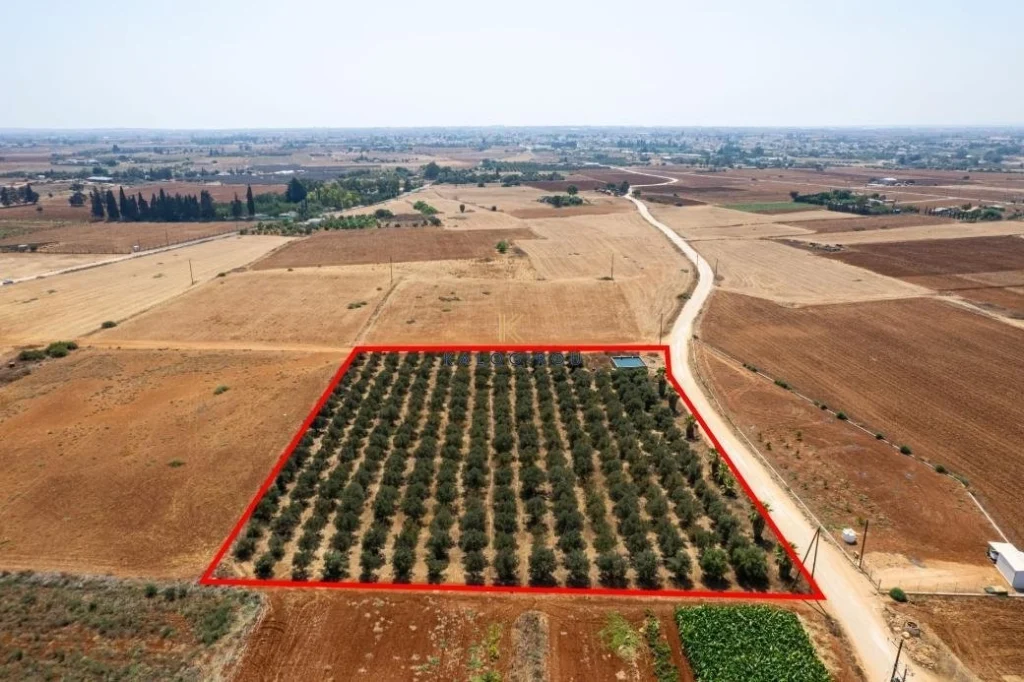 9,384m² Plot for Sale in Avgorou, Famagusta District