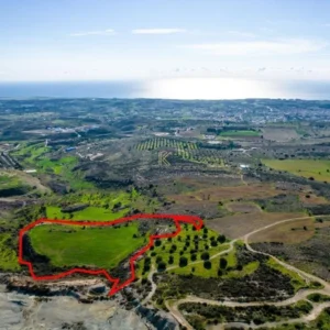 16,389m² Plot for Sale in Armou, Paphos District