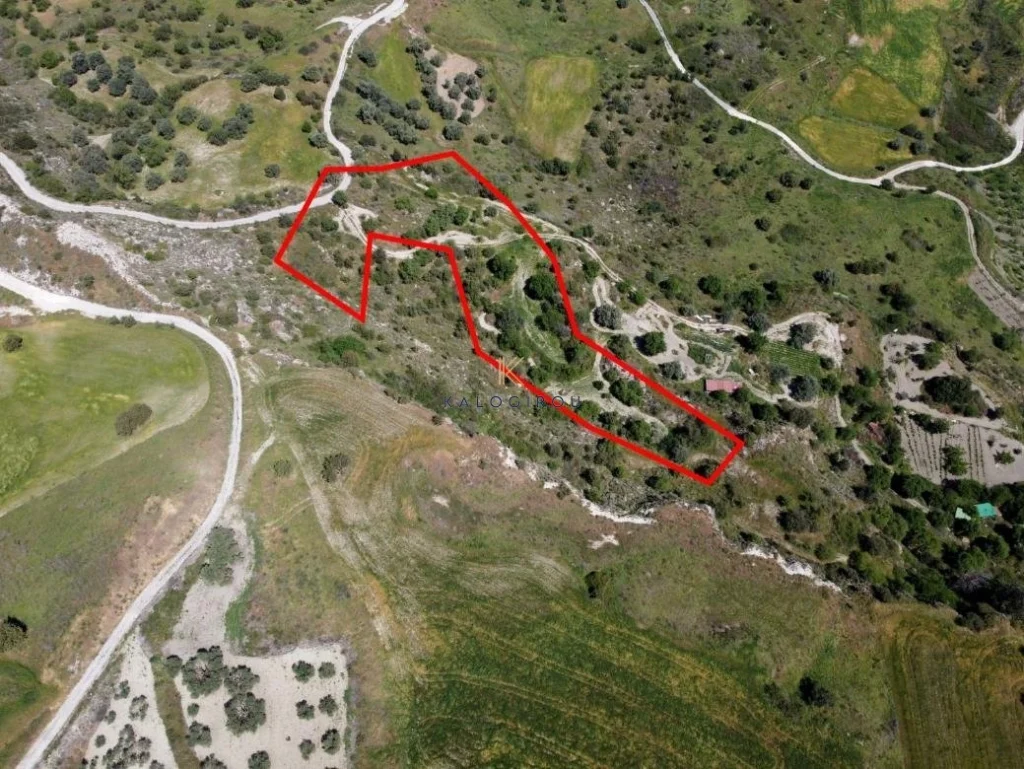 14,047m² Plot for Sale in Lasa, Paphos District