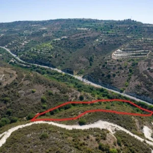 15,064m² Plot for Sale in Kallepeia, Paphos District