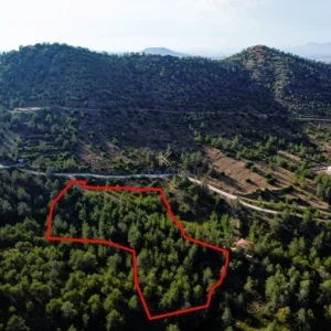 8,027m² Plot for Sale in Klirou, Nicosia District