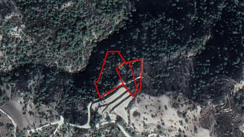 12,172m² Plot for Sale in Arminou, Paphos District