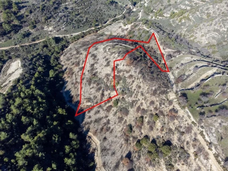 9,700m² Plot for Sale in Mousere, Paphos District