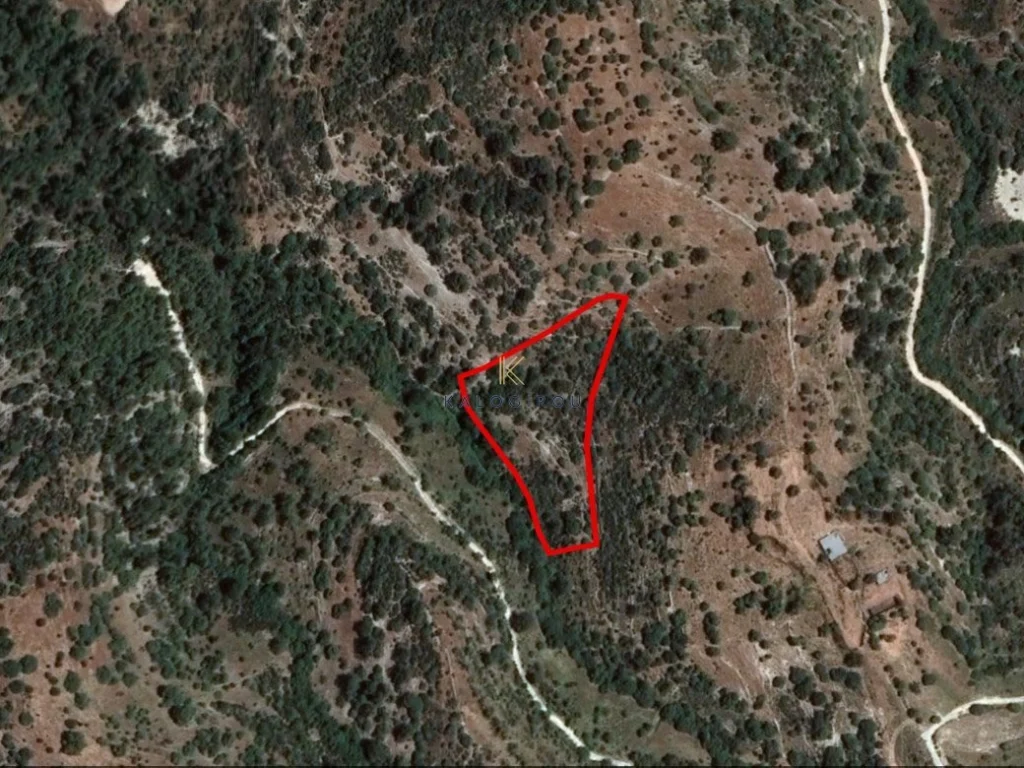 8,696m² Plot for Sale in Mousere, Paphos District