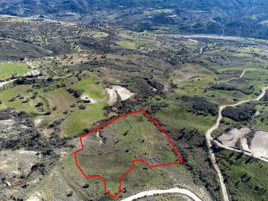 17,057m² Plot for Sale in Trachypedoula, Paphos District