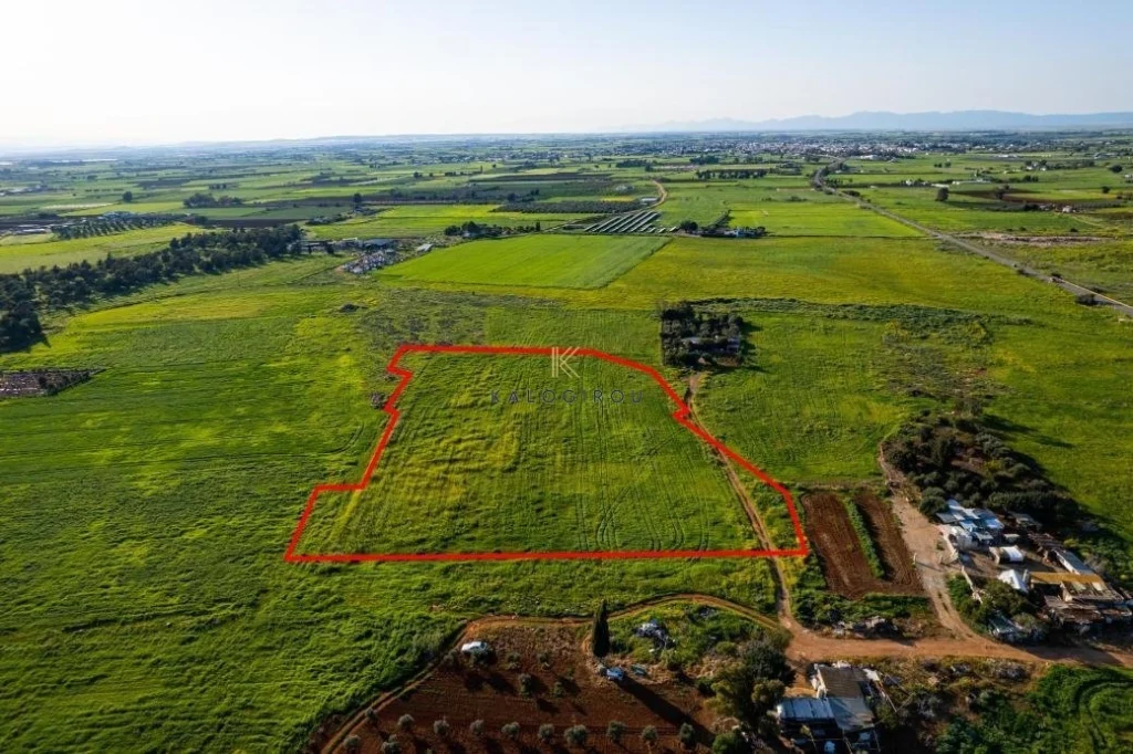 13,499m² Plot for Sale in Avgorou, Famagusta District