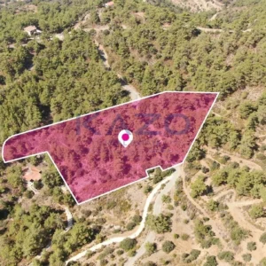 9,365m² Plot for Sale in Vavatsinia, Larnaca District