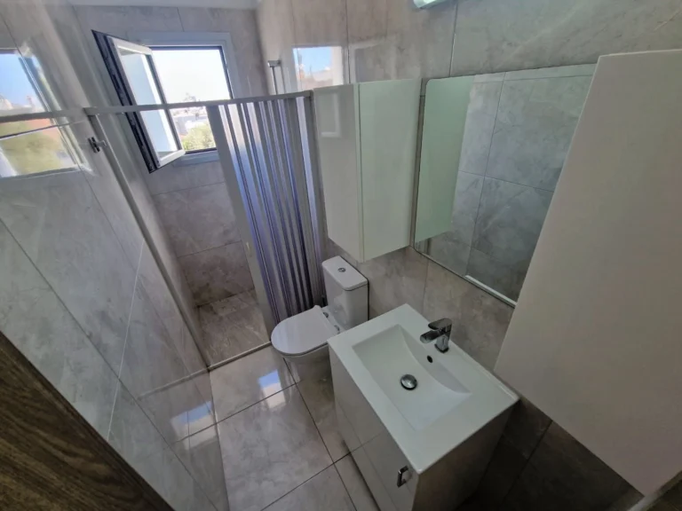 1 Bedroom Apartment for Rent in Limassol District