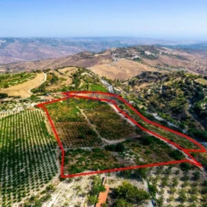 15,720m² Plot for Sale in Paphos District