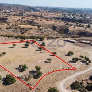 12,933m² Plot for Sale in Pegeia, Paphos District