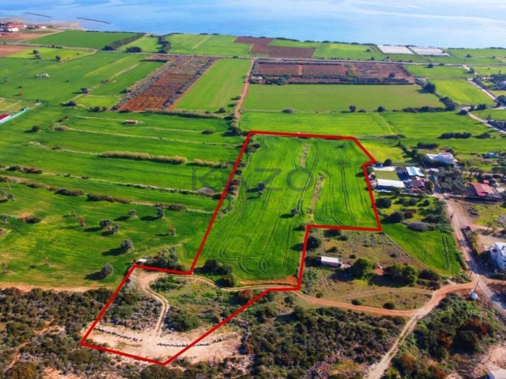 17,057m² Plot for Sale in Paphos – Agios Theodoros