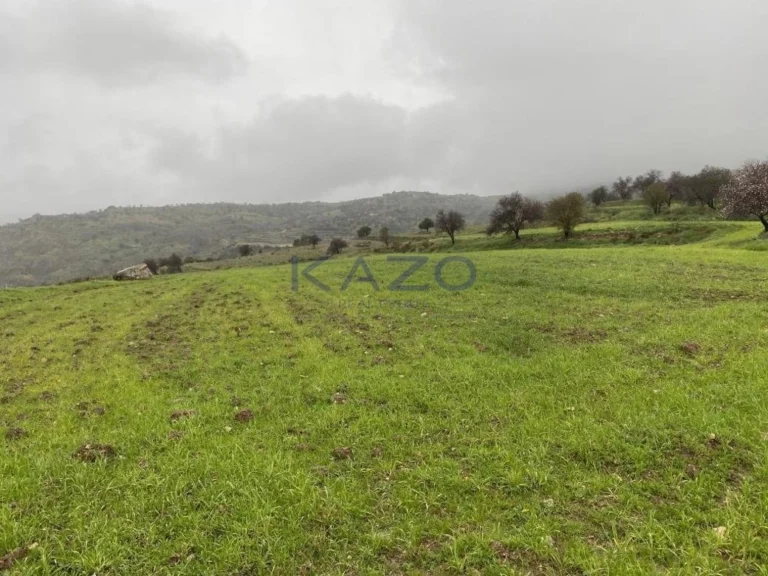 12,041m² Plot for Sale in Kelokedara, Paphos District