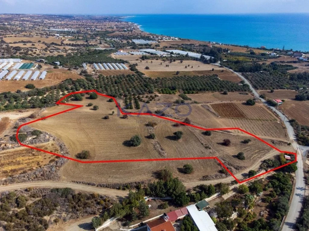 16,389m² Plot for Sale in Paphos – Agios Theodoros