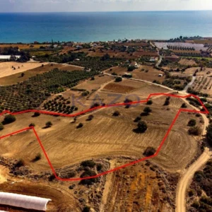 16,389m² Plot for Sale in Paphos – Agios Theodoros