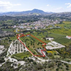 29,099m² Plot for Sale in Alethriko, Larnaca District