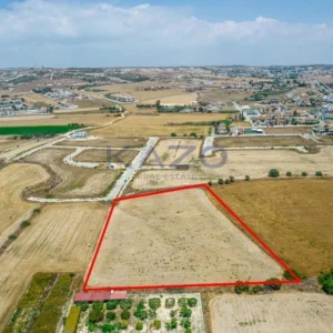 9,700m² Plot for Sale in Pyla, Larnaca District